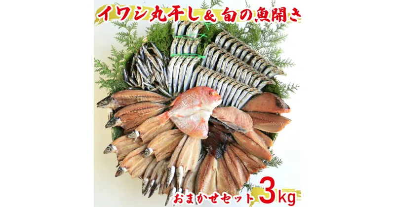 【ふるさと納税】 【訳あり】 魚の丸干し＆開き おまかせセット3kg 魚 海鮮 干物 ひもの 丸干し 切り身 おつまみ おかず 人気 珍味 グルメ 規格外 国産 天然 魚介 武久海産 愛媛 愛南 武久海産