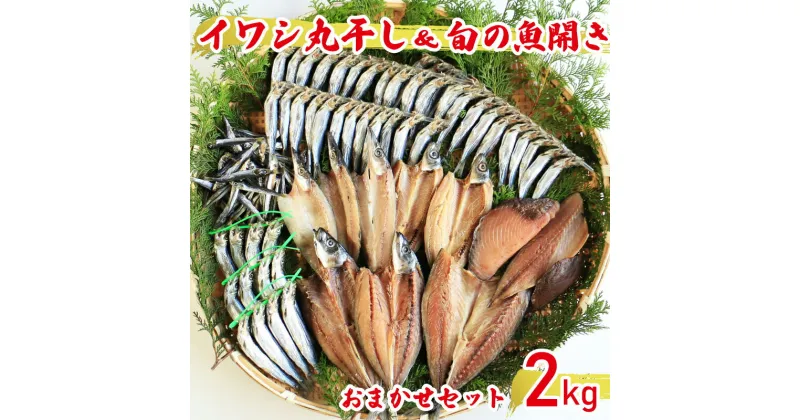 【ふるさと納税】 訳あり 魚の丸干し＆開き おまかせセット2kg 魚 海鮮 干物 ひもの 丸干し 切り身 おつまみ おかず 人気 珍味 グルメ 規格外 国産 武久海産 愛媛 愛南