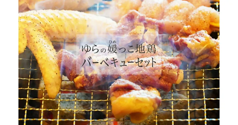 【ふるさと納税】 地鶏 由良 媛っこ地鶏 1.5kg BBQ バーベキュー セット 鶏 軍鶏 名古屋 種 プリマスロック 四元交配 いいとこどり 歯ごたえ 脂のり すき焼き 新鮮 捌いた その日に 発送 産地 直送 産直 美味しい