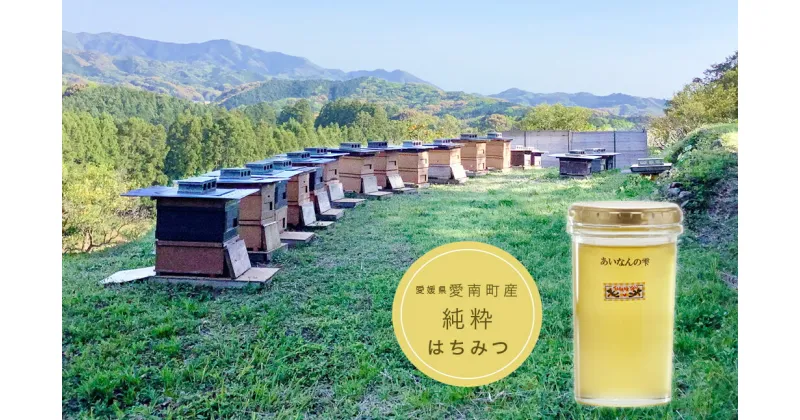 【ふるさと納税】 国産 天然 里山 はちみつ 蜂蜜 250g あいなんの雫 純粋 朝しぼり 濃厚 熟成 贈答 ギフト 瓶 愛南町産 高品質 先行予約 発送時期:2024年5月～(なくなり次第終了)