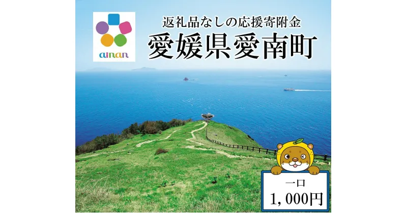 【ふるさと納税】 応援寄附金 （返礼品なし） 1,000円 ふるさと応援寄附金 返礼品なし 寄附のみ 寄附金 応援 地域支援 人気 ランキング おすすめ 買い回り 愛媛 愛媛県 愛南 愛南町 【愛媛県愛南町】