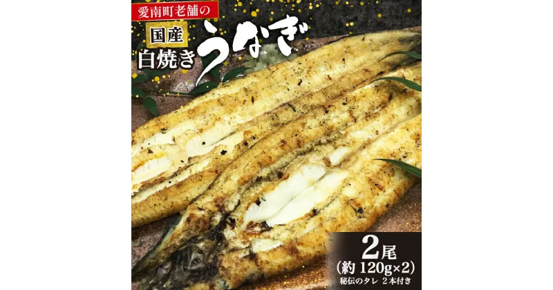 【ふるさと納税】 国産 うなぎ 鰻 白焼 白焼き き120g 2本 土用 丑の日 老舗 亀一 特製 タレ 真空パック ひつまぶし ギフト 贈答 冷凍 お取り寄せ お祝い 有頭