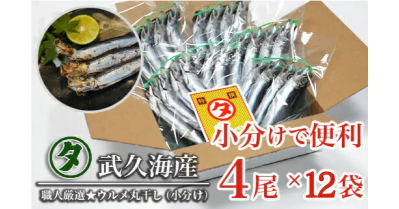 【ふるさと納税】 職人厳選 ウルメ丸干し小分け（4尾×12袋）鰯 いわし おつまみ 珍味 グルメ 魚 海鮮 ギフト 酒 ビール 日本酒 焼酎 贈り物 国産 愛媛 愛南町 武久海産