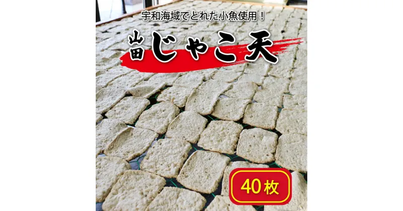 【ふるさと納税】 山田のじゃこ天 40枚 じゃこ天 すり身 さつま揚げ 郷土料理 おつまみ 肴 魚肉練り製品 揚げかまぼこ 愛媛県 南予 愛南町 特産品 お取り寄せ 送料無料 おいしい