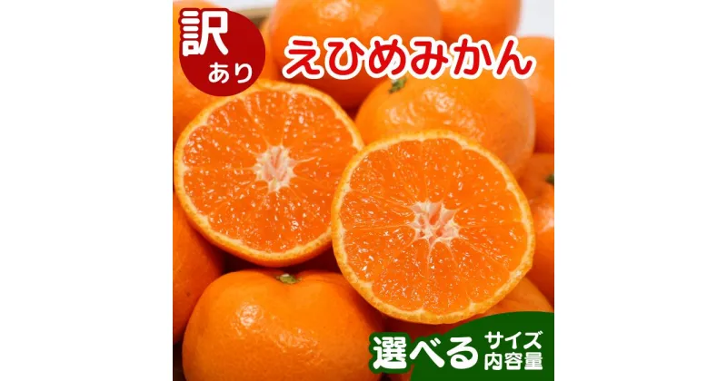 【ふるさと納税】【高評価★4.48】事前受付中 選べる サイズ 内容量 訳あり 愛媛みかん 【発送時期 2024年11月以降】 2kg 5kg 10kg 2箱 小玉 家庭用 柑橘 果物 フルーツ みかん 不揃い 傷 大小ミックス 愛媛県 愛南町 清家ばんかんビレッジ (クラウドファンディング対象)