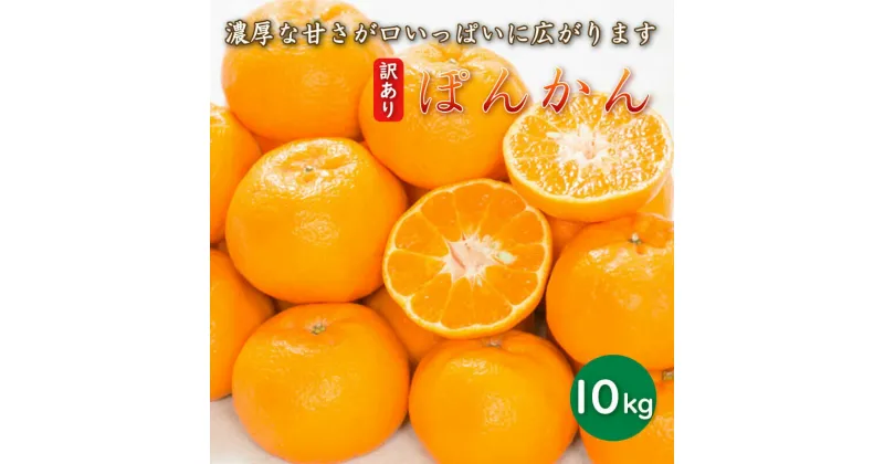 【ふるさと納税】 先行予約 訳あり 減農薬 ポンカン 10kg 愛南フルーツ サイズミックス 柑橘 フルーツ 果物 蜜柑 愛媛 みかん 文旦 河内晩柑 温州みかん ブラッド オレンジ ネーブル せとか 紅まどんな なつみ 檸檬 果実 産地 産直 発送期間: 2025年1月中旬～2月中旬