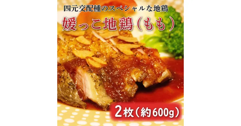 【ふるさと納税】 数量限定 最高級 ブランド 媛っこ地鶏 モモ肉 約600g