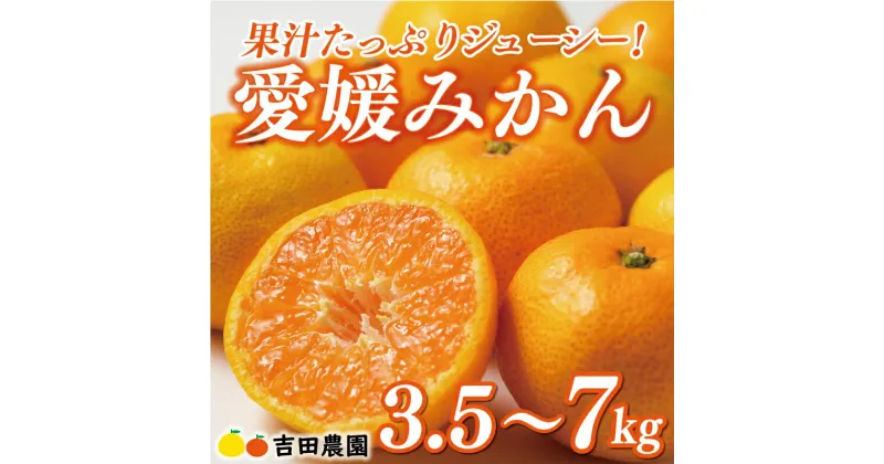 【ふるさと納税】 【高評価★4.7】 先行予約 選べる容量 愛媛みかん 3.5kg 5kg 7kg 訳あり 通常品 7000円 10000円 期間限定 愛媛 みかん 温州みかん mikan 蜜柑 ミカン 国産 期間限定 数量限定 特産品 フルーツ 果物 柑橘 おいしい サイズ ミックス 愛南町 愛媛県 吉田農園