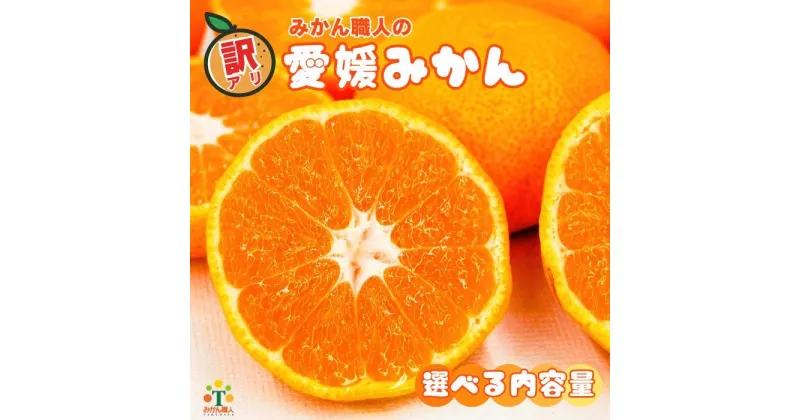 【ふるさと納税】【高評価★4.48】 訳あり愛媛みかん 選べる内容量 5kg 3kg 2kg 小粒っ子5kg (傷み保証300g )光センサー選果 柑橘 果物 フルーツ 大小 ミックス 不揃い 傷 みかん みかん職人武田屋 愛媛県 愛南町 発送期間: 9月中旬〜1月中旬 (クラウドファンディング対象)