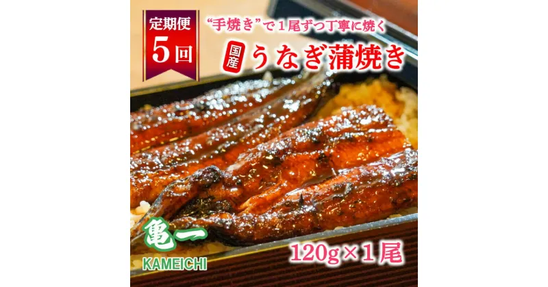 【ふるさと納税】 定期便 5回 国産 うなぎ 鰻 蒲焼 蒲焼き かば焼き120g 1本 土用 丑の日 老舗 亀一 特製 タレ 真空パック ひつまぶし ギフト 贈答 冷凍 お取り寄せ お祝い