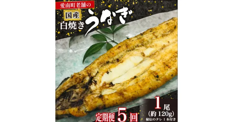 【ふるさと納税】 定期便 5回 国産 うなぎ 鰻 白焼 白焼き しら焼き120g 1本 土用 丑の日 老舗 亀一 特製 タレ 真空パック ひつまぶし ギフト 贈答 冷凍 お取り寄せ お祝い