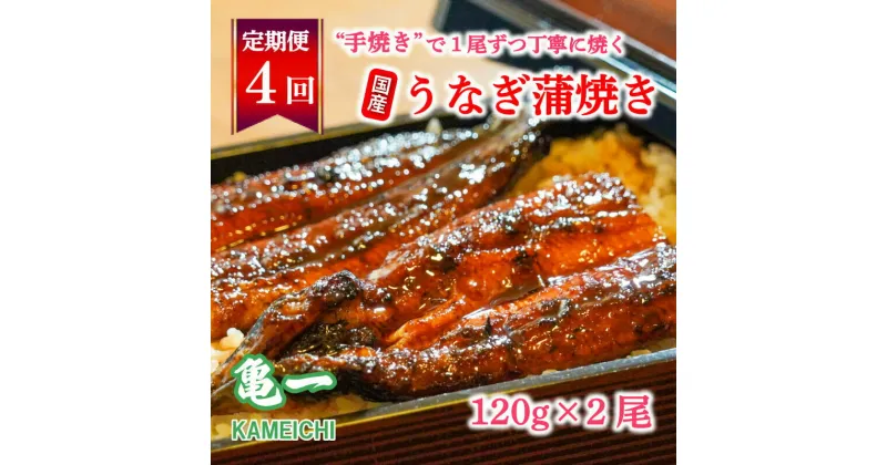 【ふるさと納税】 定期便 4回 国産 うなぎ 鰻 蒲焼 蒲焼き かば焼き120g 2本 土用 丑の日 老舗 亀一 特製 タレ 真空パック ひつまぶし ギフト 贈答 冷凍 お取り寄せ お祝い