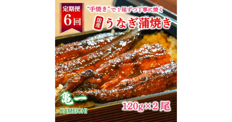 【ふるさと納税】 定期便 6回 国産 うなぎ 鰻 蒲焼 蒲焼き かば焼き120g 2本 土用 丑の日 老舗 亀一 特製 タレ 真空パック ひつまぶし ギフト 贈答 冷凍 お取り寄せ お祝い