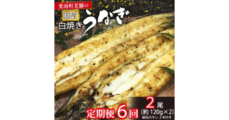 【ふるさと納税】 定期便 6回 国産 うなぎ 鰻 白焼 白焼き しら焼き120g 2本 土用 丑の日 老舗 亀一 特製 タレ 真空パック ひつまぶし ギフト 贈答 冷凍 お取り寄せ お祝い