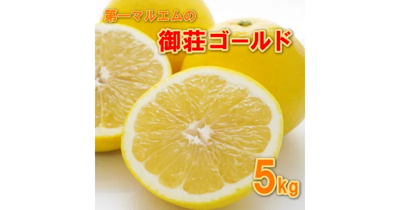 【ふるさと納税】先行予約 御荘ゴールド (河内晩柑) 秀品 5kg 減農薬 柑橘 フルーツ 愛媛みかん ポンカン 文旦 河内晩柑 温州みかん オレンジ ネーブル せとか なつみ 蜜柑 みかん 果物 果実 ジューシー さっぱり 第一マルエム 愛媛県 愛南町 発送期間：3月中旬〜4月下旬