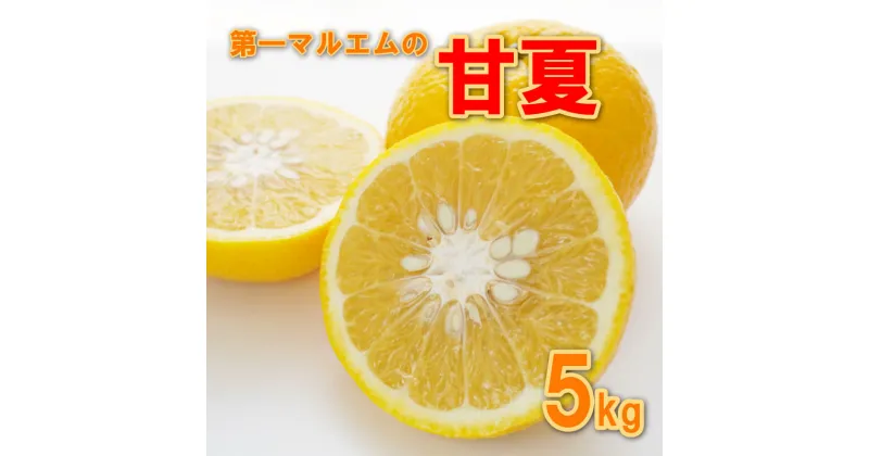 【ふるさと納税】 先行予約 甘夏 5kg 第一マルエム 減農薬 みかん 柑橘 フルーツ 愛媛みかん ポンカン 文旦 河内晩柑 温州みかん ブラッド オレンジ ネーブル せとか なつみ 蜜柑 果物 果実 ジューシー 数量限定 さっぱり 甘い 愛媛県 愛南町 発送期間: 3月中旬〜4月下旬