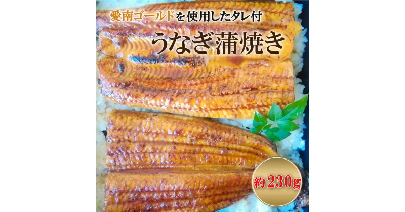 【ふるさと納税】 鰻 四万十うなぎ 230g 愛南ゴールド入りタレ セット うなぎ 蒲焼 国産 鰻 ひつまぶし 土用の丑の日 タレ ごはん ギフト 贈答用 山椒 四万十 愛南 愛媛