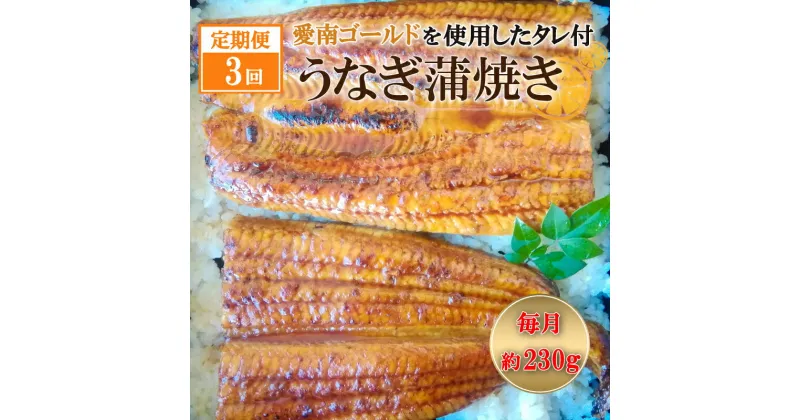 【ふるさと納税】 定期便 3回 四万十うなぎ 230g×3回 愛南ゴールド 入り うなぎのたれ セット うなぎ 蒲焼 ひつまぶし 国産 鰻 土用の丑の日 タレ ごはん ギフト 贈答用 山椒 四万十 愛南 愛媛