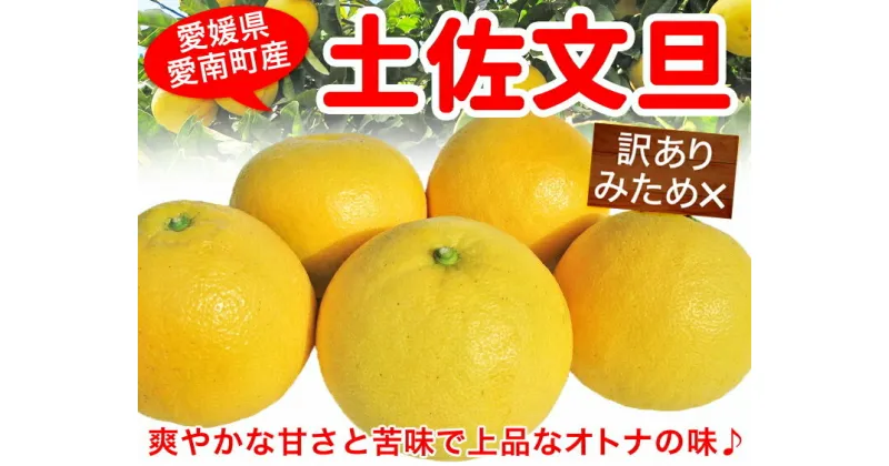 【ふるさと納税】 先行予約 訳あり 土佐文旦 5kg【発送時期 3月】清家ばんかんビレッジ みかん 蜜柑 家庭用 わけあり 大きさ 不揃い サイズミックス フルーツ 果物 くだもの 柑橘 愛媛県 愛南町