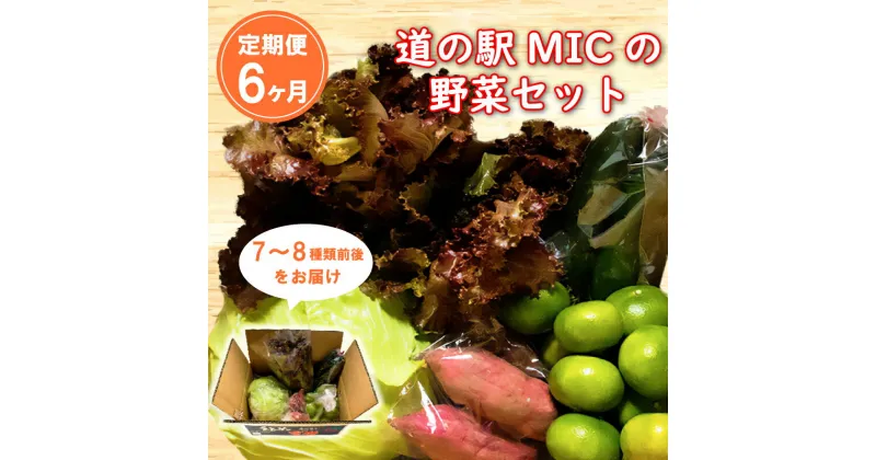 【ふるさと納税】 定期便 6回 旬の野菜セット 7～8種類前後 野菜 サラダ 新鮮 葉物 根菜 香味 定番野菜 愛媛 愛南