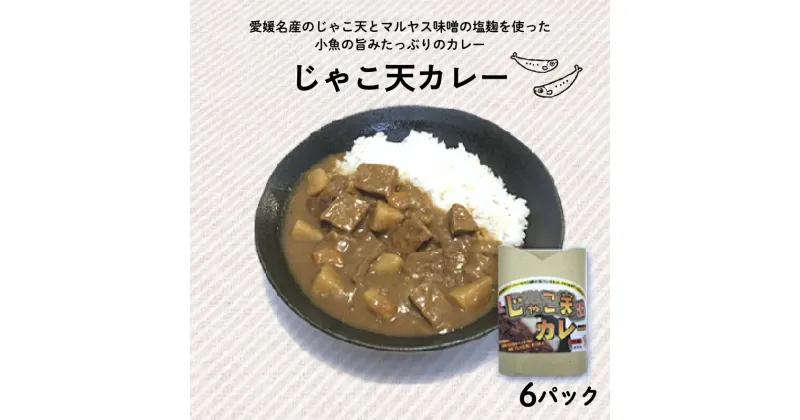 【ふるさと納税】 じゃこ天 カレー 6パック (1パック200g) 自家製 カレー マルヤス味噌