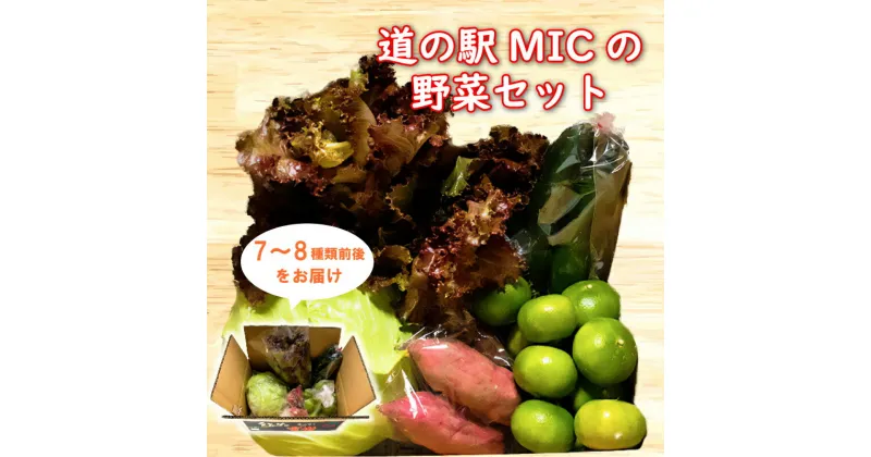 【ふるさと納税】 旬の野菜 セット 7～8種類前後 野菜 サラダ 新鮮 葉物 根菜 香味 定番野菜 愛媛 愛南