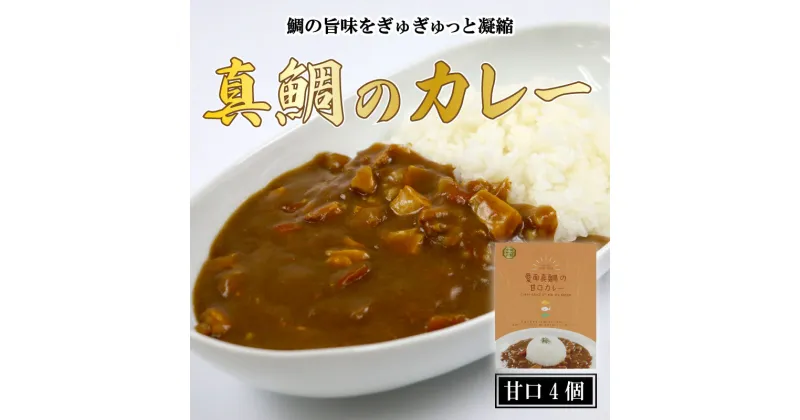 【ふるさと納税】 愛南 真鯛カレー 甘口 4パック レトルト 鯛 タイ 出汁 湯煎 スパイス アウトドア キャンプ 一人暮らし 防災 非常食 保存 プレゼント ギフト 贈り物 愛南サン・フィッシュ