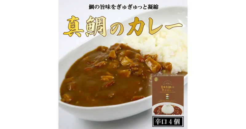 【ふるさと納税】 愛南 真鯛カレー 辛口 4パック レトルト 鯛 タイ 出汁 湯煎 スパイス アウトドア キャンプ 一人暮らし 防災 非常食 保存 プレゼント ギフト 贈り物 愛南サン・フィッシュ