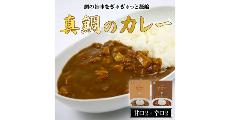 【ふるさと納税】 愛南 真鯛カレー 甘口 2 パック 辛口 2パック レトルト 鯛 タイ 出汁 湯煎 スパイス アウトドア キャンプ 一人暮らし 食べ比べ 防災 非常食 保存 プレゼント ギフト 贈り物 愛南サン・フィッシュ