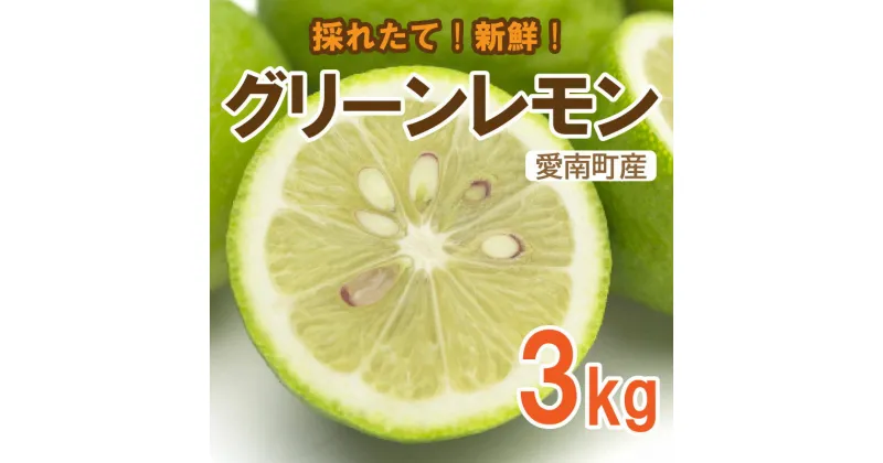 【ふるさと納税】レモン（グリーンレモン） 3kg 10000円 れもん 檸檬 フルーツ 果物 くだもの 柑橘 贈答 ギフト 防腐剤 不使用 レモンサワー レモン果汁 炭酸水 ビタミンC クエン酸 疲労 回復 ストレス 解消 免疫力 向上 国産 皮ごと みかん ひなたのみかん 愛媛県 愛南町