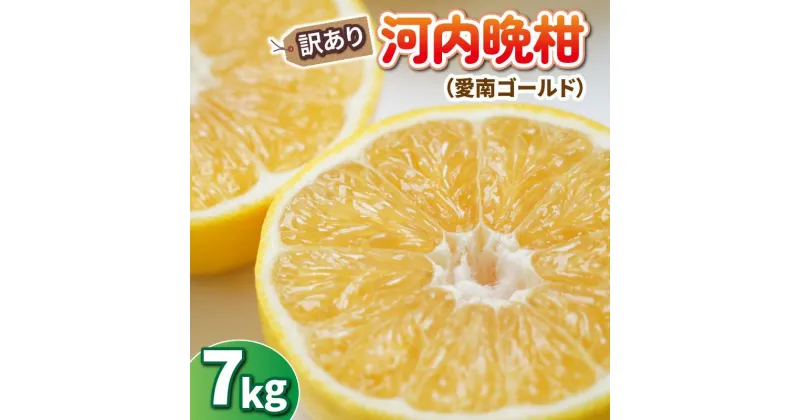 【ふるさと納税】先行予約 訳あり 河内晩柑 7kg みかん 蜜柑 グレープフルーツ 愛南ゴールド 文旦 ポンカン デコポン 不知火 せとか 紅まどんな 果物 くだもの 果実 柑橘 フルーツ 果汁 ゼリー ジュース 甘い ジューシー ビタミン 美容 健康 国産 産直 愛媛県 愛南町