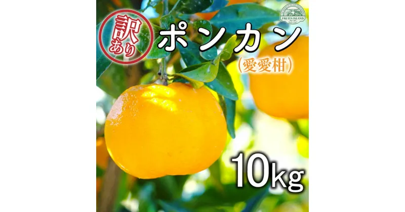 【ふるさと納税】 先行予約 訳あり ポンカン 約10kg 愛愛柑 10000円 みかん 蜜柑 オレンジ 温州みかん 文旦 河内晩柑 デコポン 不知火 果物 くだもの 果実 柑橘 フルーツ ゼリー ジュース 甘い ジューシー ビタミン 美容 健康 ブランド 国産 産直 糖度 愛媛県 愛南町