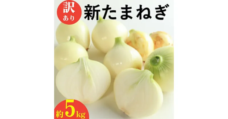 【ふるさと納税】訳あり 新たまねぎ 5kg シルクオニオン 野菜 サラダ 玉ねぎ たまねぎ 新玉 スープ カレー サイズミックス 大小 傷 国産 オニオン 常温 送料無料 愛媛県 愛南町青果市場 発送:11月上旬~