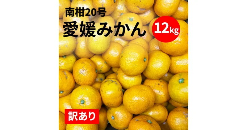 【ふるさと納税】 訳あり 愛媛みかん 南柑20号 12kg 14000円 数量限定 みかん 蜜柑 果物 柑橘 フルーツ ポンカン 文旦 河内晩柑 せとか 紅まどんな デコポン レモン ぶんたん 不揃い 傷 ゼリー ジュース ビタミンC 健康 美容 産地 直送 エニシトラス 愛媛県 愛南町