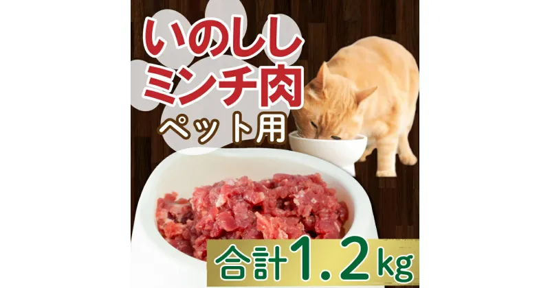 【ふるさと納税】 ジビエ イノシシ 猪 ミンチ 肉 ペット 用 100g × 12パック 小分け 1.2kg 猫 ねこ 犬 いぬ 肉 1200g 1kg 10000円 冷凍 真空 パック 国産 天然 猪肉 挽肉 ひき肉 ジビエ肉 低カロリー 低脂肪 高たんぱく コラーゲン 粗挽き 粗びき 愛南 愛媛 愛南ジビエ