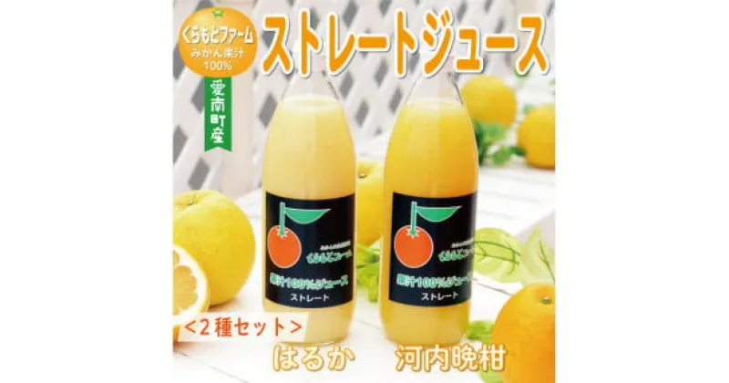 【ふるさと納税】みかん 果汁 100% ストレート ジュース 2本 セット （ 1000ml × 2本 ） はるか 河内晩柑 愛南ゴールド 7000円 期間限定 高級 ギフト プレゼント 国産 フルーツ 果物 柑橘 農家直送 特産品 完熟 人気 甘い 新鮮 さわやか 愛媛県 愛南町 くらもとファーム