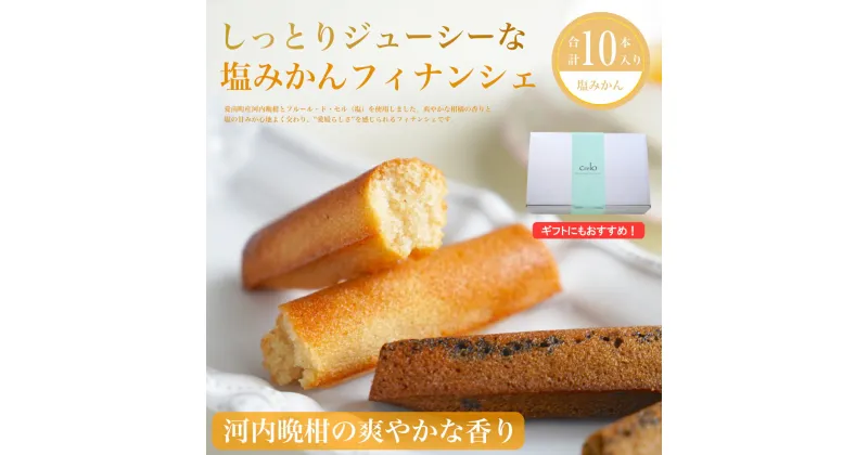 【ふるさと納税】 フィナンシェ 塩みかん 10本セット お菓子 焼き菓子 バレンタイン ホワイトデー 河内晩柑 愛南ゴールド バター入り 10個 スイーツ 詰め合わせ 贈答 プレゼント 贈り物 ギフト 個包装 crelo 愛媛県 愛南町