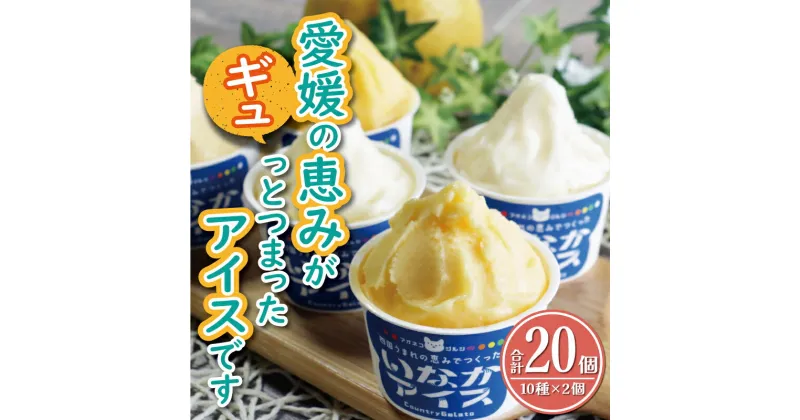 【ふるさと納税】 カップ アイス 20個 （ 10種 × 2個 ） 食べ比べ セット アイスクリーム デザート スイーツ 柑橘 みかん 不知火 ポンカン はるか 河内晩柑 愛南ゴールド 紅まどんな 牛乳 いちじく レモン キウイ いちご ジェラート ギフト 限定 愛南町 愛媛県 あいさと