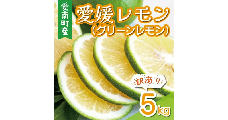 【ふるさと納税】 訳あり 愛媛 レモン （ グリーンレモン ） 5kg 7000円 柑橘 サイズ 不揃い 家庭用 檸檬 国産 果物 瀬戸内 ワックス 防腐剤 不使用 果汁 人気 新鮮 レモネード 塩レモン はちみつレモン レモンサワー レモン酎ハイ規格外 愛南町 愛媛県 果樹園みどり