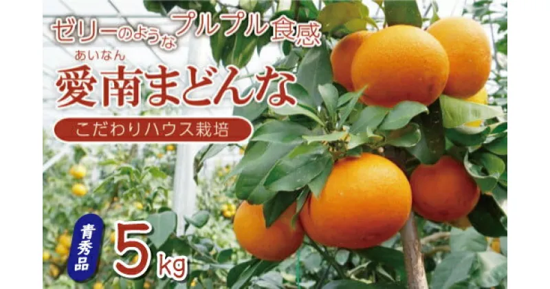 【ふるさと納税】 先行予約 訳あり 愛南 まどんな 5kg 青秀品 みかん 20000円 愛果28号 紅まどんな 同品種 あいか アイカ 高級 人気 柑橘 果物 フルーツ ハウス栽培 ギフト プレゼント 数量限定 期間限定 国産 mikan 蜜柑 ミカン マドンナ 甘い 愛南町 愛媛県 果樹園みどり