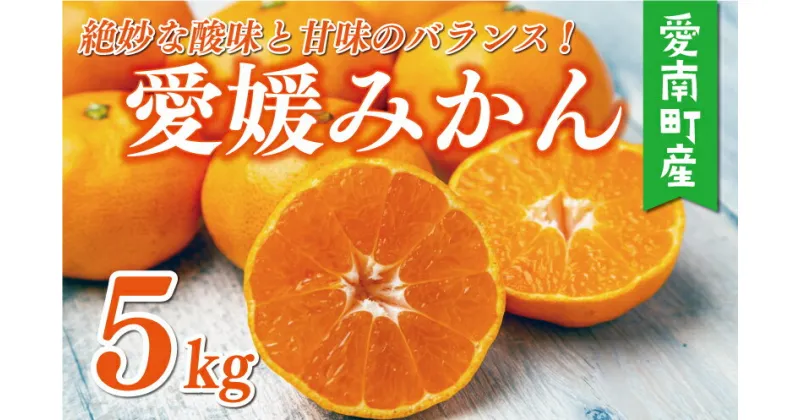 【ふるさと納税】 訳あり 愛媛みかん 5kg 7000円 愛媛 みかん 温州みかん 早生 蜜柑 ミカン 家庭用 贈答用 ギフト プレゼント お歳暮 国産 期間限定 数量限定 ゼリー ジュース アイス 人気 限定 甘い フルーツ 果物 柑橘 おいしい サイズ 愛南町 愛媛県 マルハラファーム