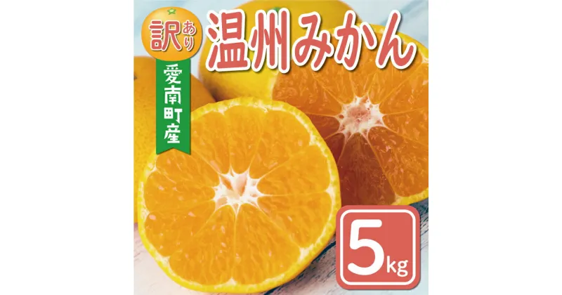 【ふるさと納税】 先行予約 訳あり 温州みかん 5kg 7000円 愛媛 みかん こたつ みかん 愛媛みかん ミカン mikan 家庭用 産地直送 国産 糖度 果樹園 特産品 人気 限定 甘い 果実 果肉 フルーツ 果物 柑橘 規格外 サイズ ミックス 愛南町 愛媛県 ミッチーのおみかん畑