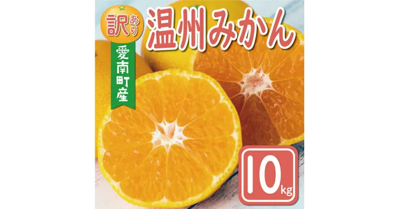 【ふるさと納税】 先行予約 訳あり 温州みかん 10kg 12000円 愛媛 みかん こたつ みかん 愛媛みかん ミカン mikan 家庭用 産地直送 国産 糖度 果樹園 特産品 人気 限定 甘い 果実 果肉 フルーツ 果物 柑橘 規外 サイズ ミックス 愛南町 愛媛県 ミッチーのおみかん畑