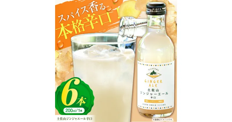 【ふるさと納税】土佐山ジンジャエール辛口M(200ml) 6本入り 【一般財団法人夢産地とさやま開発公社】[ATBH006]