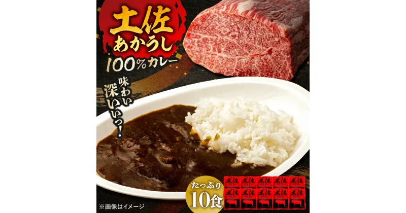 【ふるさと納税】高知土佐あかうしビーフカレー 10食セット レトルト カレー あか牛 土佐あかうし 牛肉 牛カレー 保存食 常備 人気 おすすめ 高知市 【株式会社 四国健商】[ATAF053]