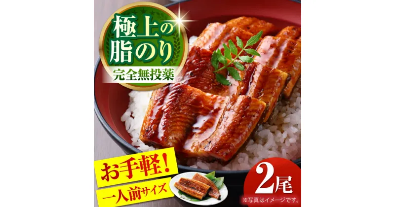 【ふるさと納税】高知県産 うなぎ蒲焼き 約90g×2尾 タレ付き 【株式会社 四国健商】[ATAF064]