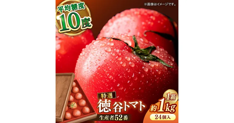 【ふるさと納税】【先行予約】プレミアム徳谷トマト約1kg 24個入り 生産者52番 (ウォールナットケース入り) フルーツトマト とまと フルーツ 果物 季節もの 【フルーツショップオザキ】[ATAH001]