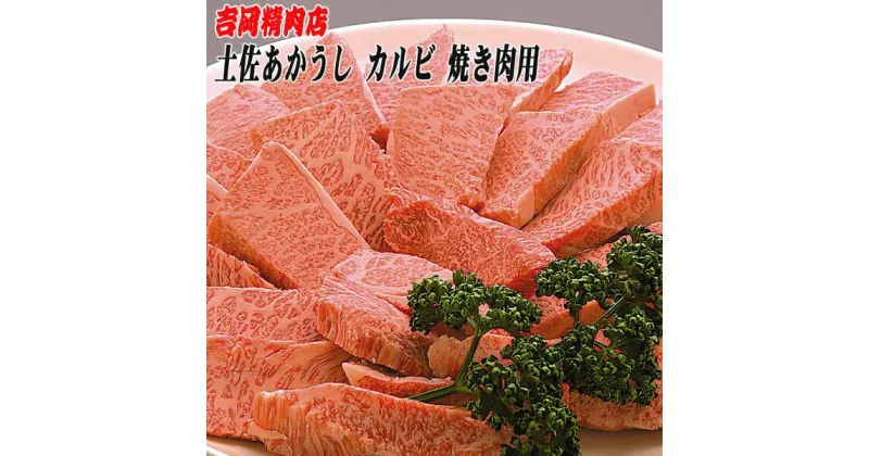 【ふるさと納税】土佐あかうし カルビ (焼肉用) 約500g 幻の和牛 【グレイジア株式会社】[ATAC031]