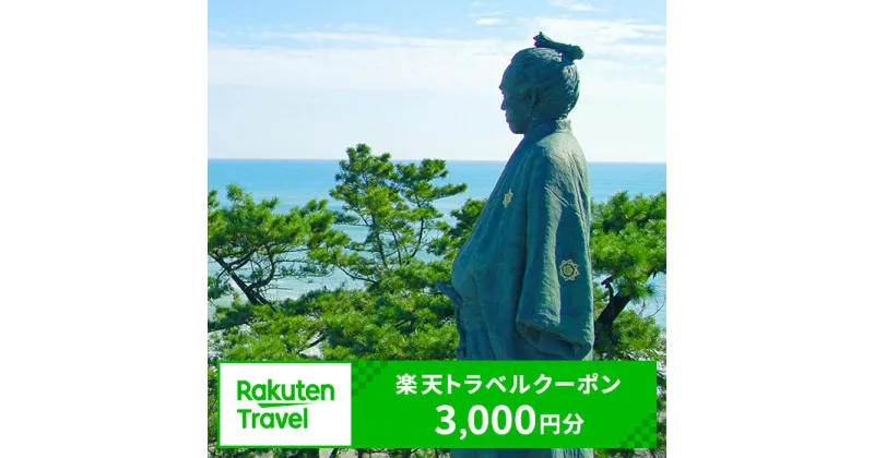 【ふるさと納税】高知県高知市の対象施設で使える楽天トラベルクーポン 寄付額10,000円[ATZZ001]