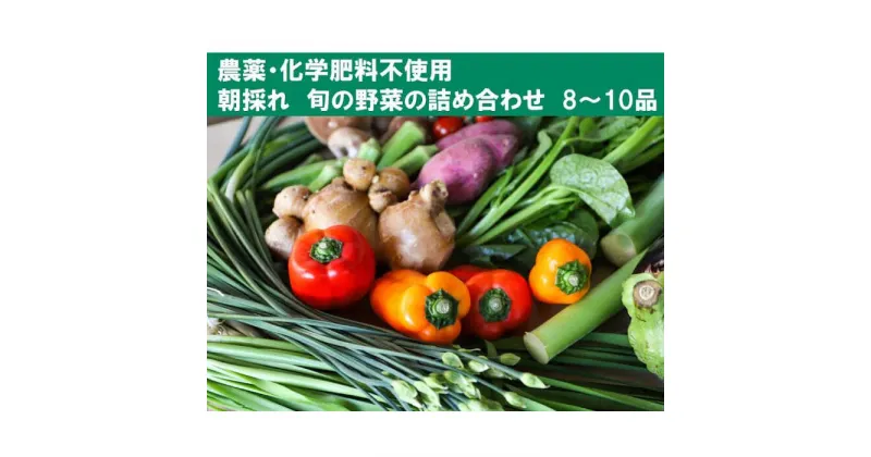 【ふるさと納税】【栽培期間中農薬・化学肥料不使用】土佐の太陽をいっぱいに浴びた旬の野菜セット「小」【土佐野菜】[ATBA001]